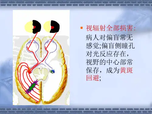 神经系统定位诊断