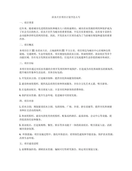 滨水片区项目计划书怎么写