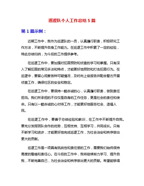 巡逻队个人工作总结5篇