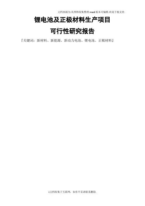 锂电池及正极材料生产建设项目可行性研究报告.doc