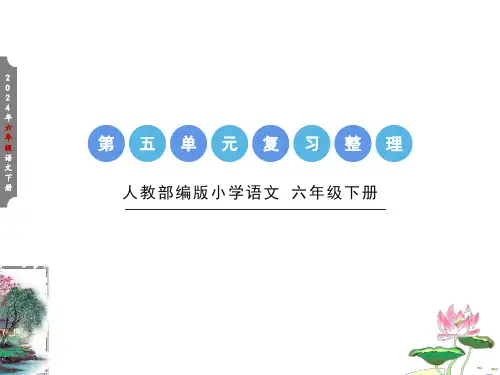 六年级下册第五单元复习整理课件(共22张PPT)