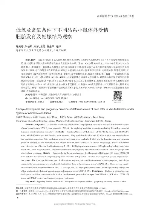 低氧及常氧条件下不同品系小鼠体外受精胚胎发育及妊娠结局观察