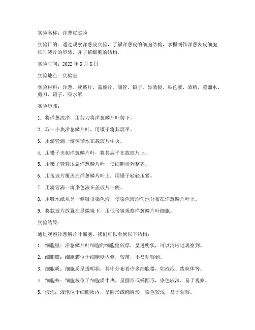 观察洋葱皮实验报告