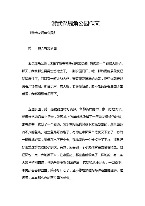 游武汉堤角公园作文