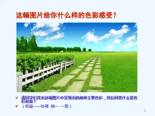 五年级美术上册第2课色彩的和谐课件3人教版