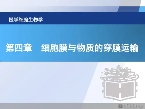医学细胞生物学-04章 细胞膜与物质的穿膜运输