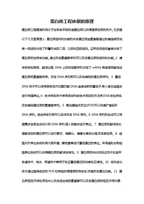 蛋白质工程依据的原理