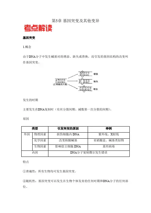 【高中生物】基因突变及其他变异 高一生物下学期期末满分冲刺攻略(人教版2019必修2)(原卷版)
