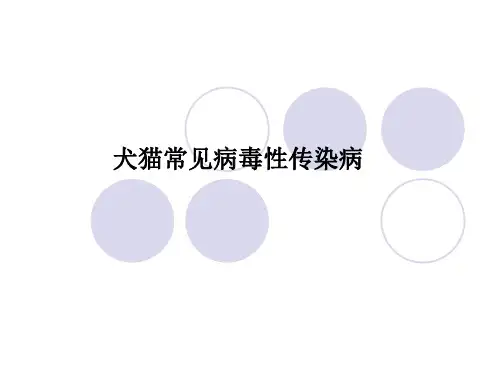 犬猫常见病毒性传染病