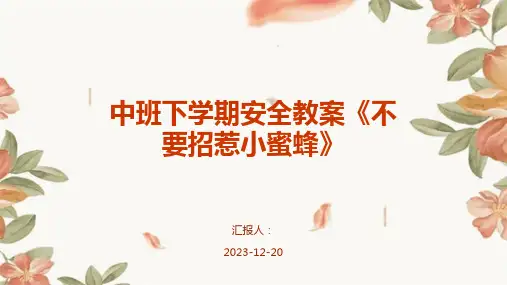 中班下学期安全教案《不要招惹小蜜蜂》