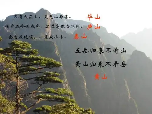 16黄山奇松.ppt