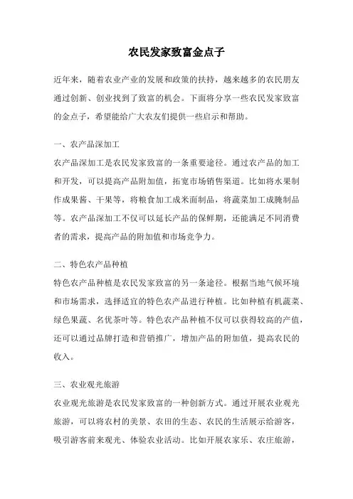 农民发家致富金点子