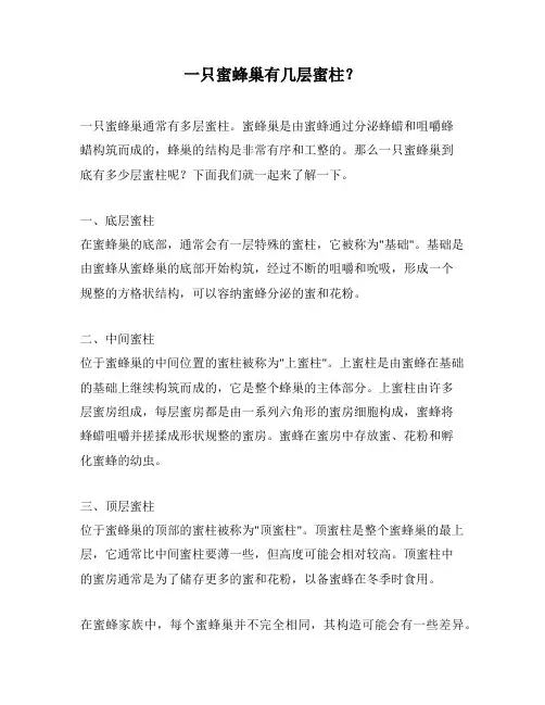 一只蜜蜂巢有几层蜜柱？