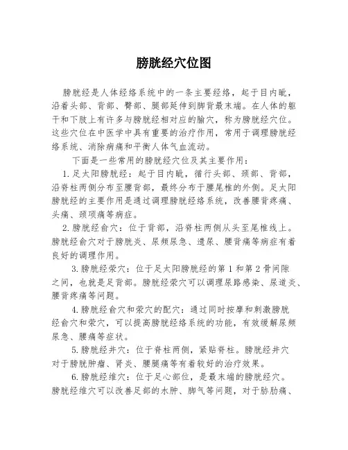 膀胱经穴位图
