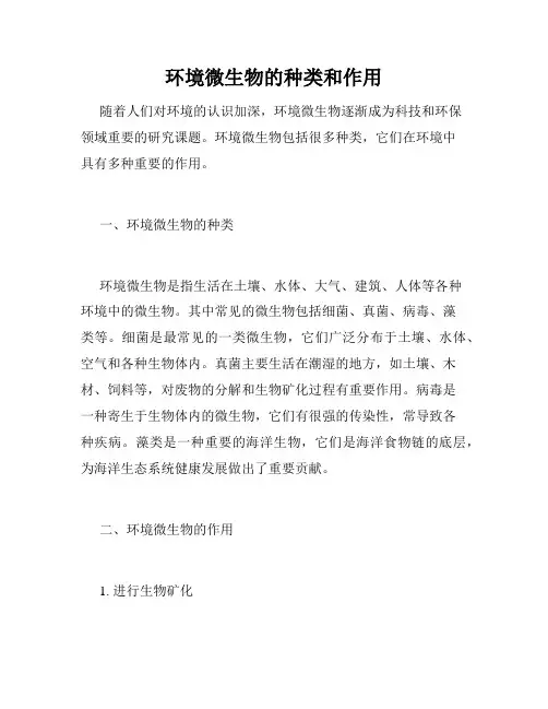 环境微生物的种类和作用