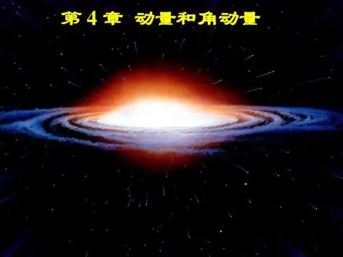 第 04 章 动量和角动量