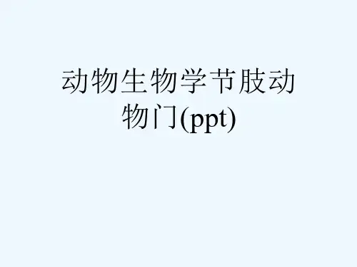 动物生物学节肢动物门课件
