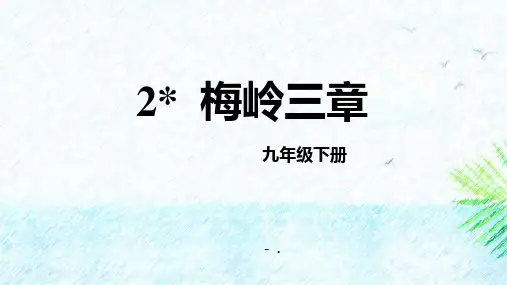 《梅岭三章》PPT优秀课件