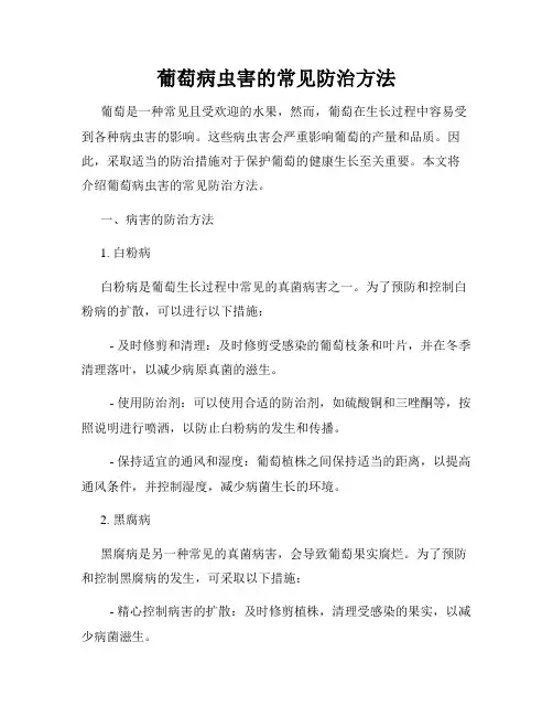 葡萄病虫害的常见防治方法
