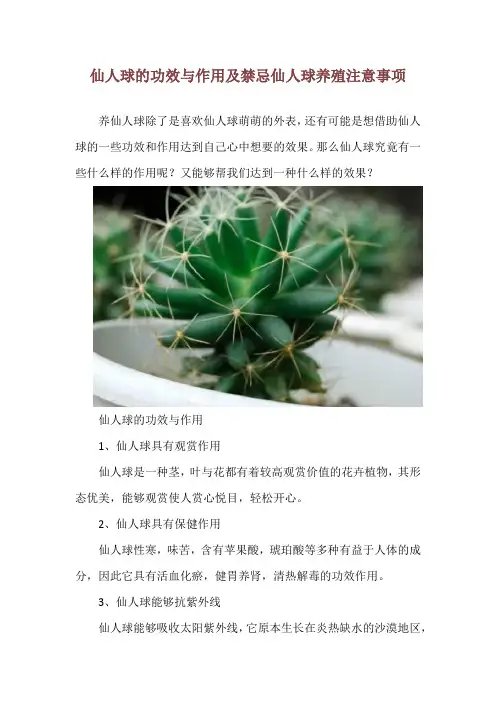 仙人球的功效与作用及禁忌  仙人球养殖注意事项