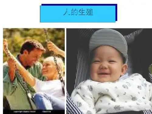 人的生殖ppt32(4份) 人教版