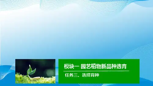 任务三选择育种-精品PPT课件
