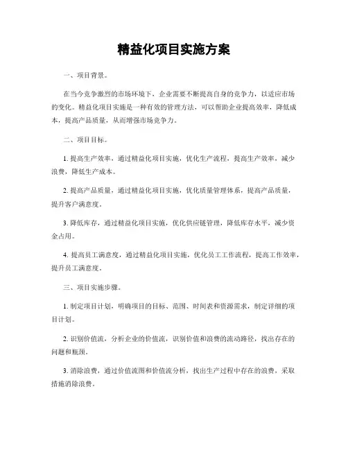 精益化项目实施方案