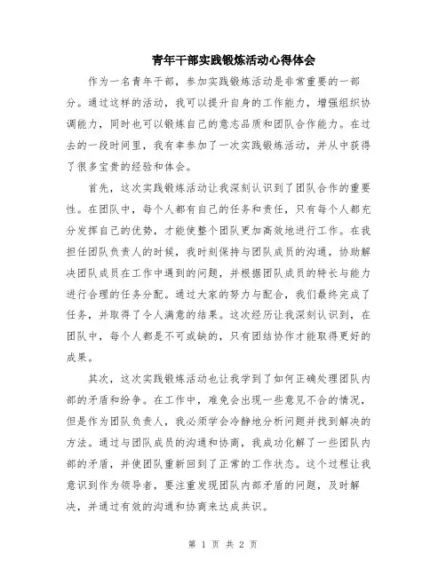 青年干部实践锻炼活动心得体会