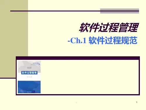 软件过程与管理软件过程规范PPT课件