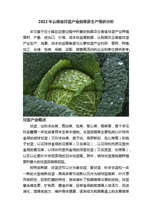 2022年云南省甘蓝产业前景及生产现状分析