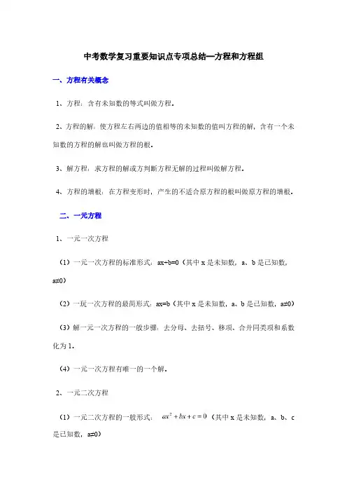 中考数学复习重要知识点专项总结—方程和方程组