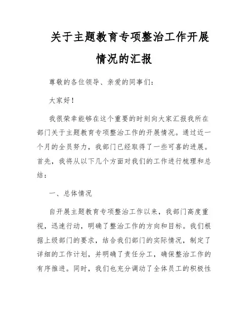 关于主题教育专项整治工作开展情况的汇报