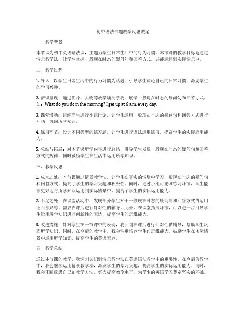 初中语法专题教学反思教案
