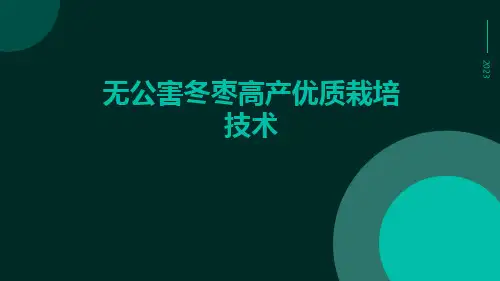 无公害冬枣高产优质栽培技术