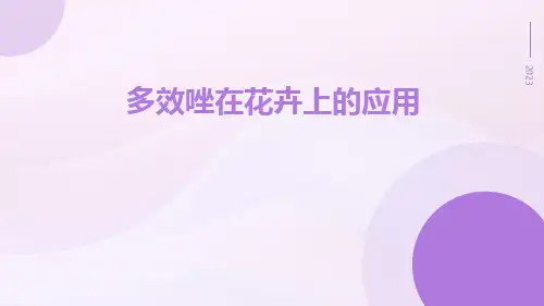 多效唑在花卉上的应用