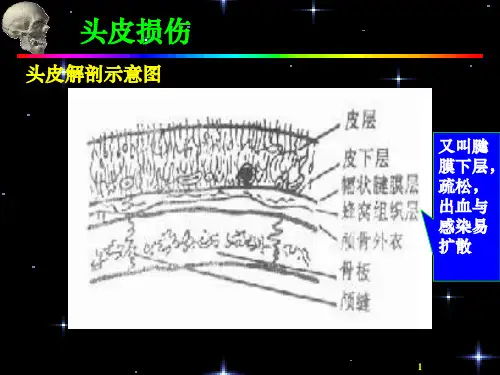 最新：颅脑损伤及院前急救-文档资料
