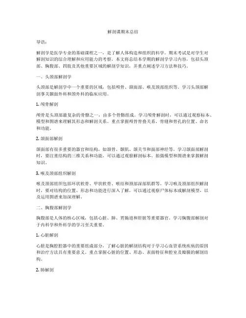 解剖课期末总结