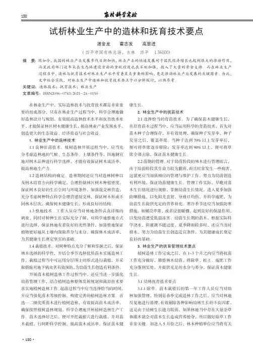试析林业生产中的造林和抚育技术要点