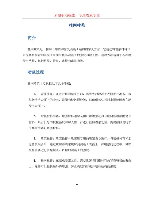 挂网喷浆 (2)