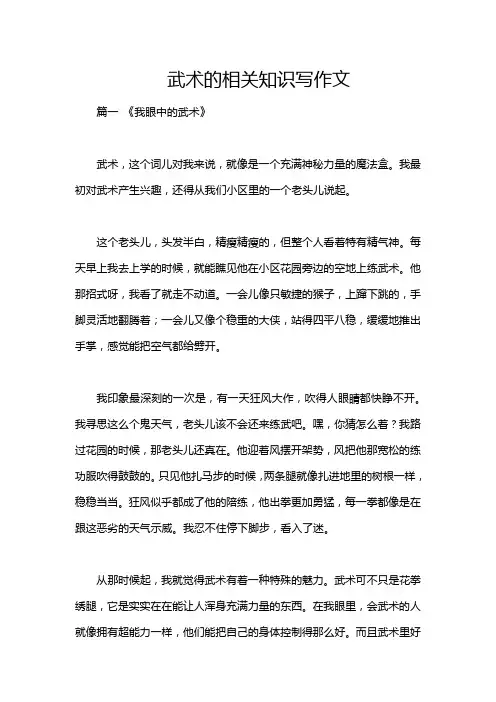 武术的相关知识写作文