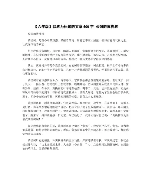 【六年级】以树为标题的文章600字 顽强的黄桷树