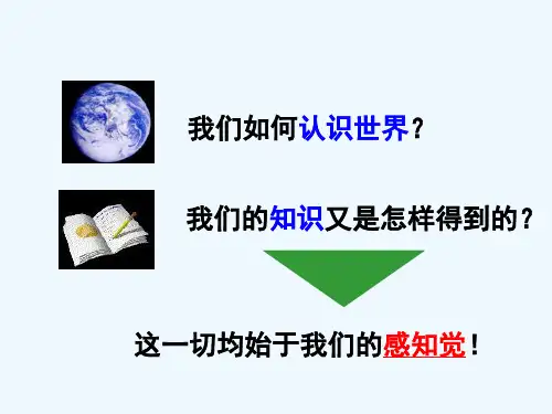 学前儿童发展心理学第二章感知觉的发展