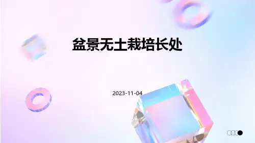 盆景无土栽培长处