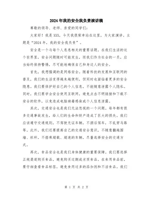 2024年我的安全我负责演讲稿