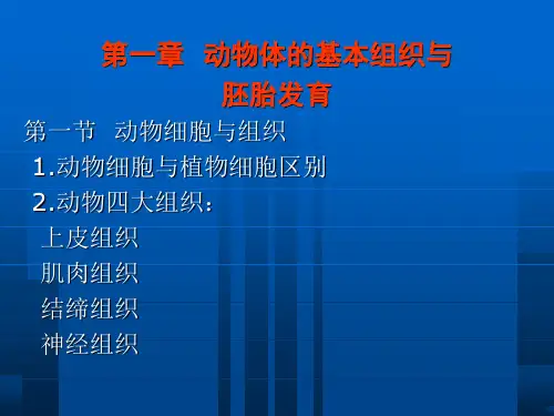 动物的细胞和组织课件