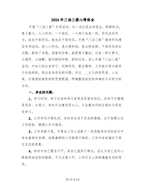 2024年三治三提心得体会(2篇)