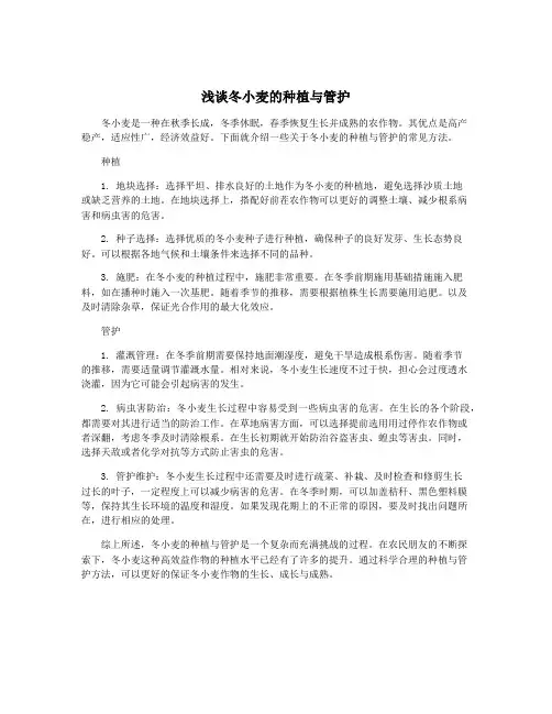 浅谈冬小麦的种植与管护