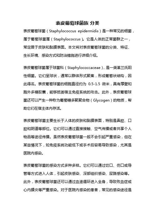 表皮葡萄球菌族 分类