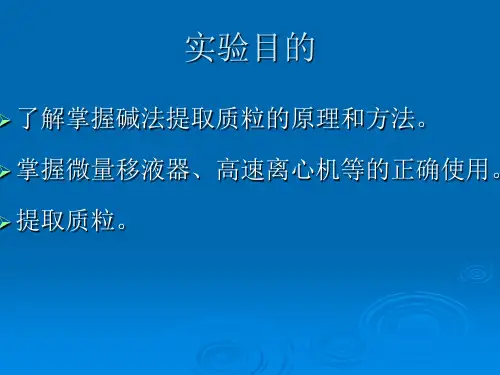 1碱法提取质粒