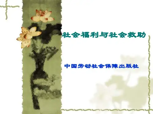社会福利与社会救助概述(PPT 259页)